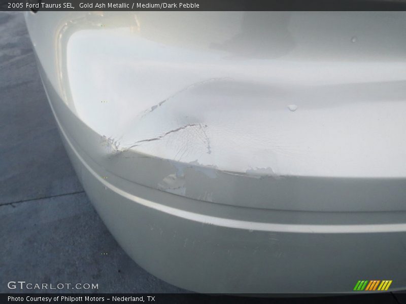 Gold Ash Metallic / Medium/Dark Pebble 2005 Ford Taurus SEL