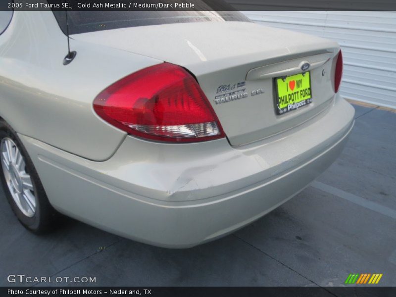 Gold Ash Metallic / Medium/Dark Pebble 2005 Ford Taurus SEL