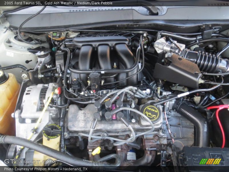 Gold Ash Metallic / Medium/Dark Pebble 2005 Ford Taurus SEL