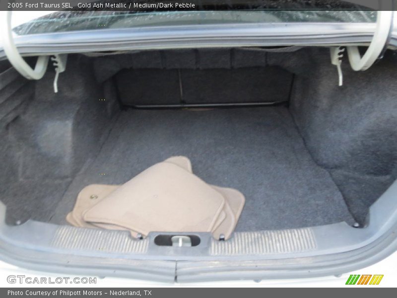 Gold Ash Metallic / Medium/Dark Pebble 2005 Ford Taurus SEL