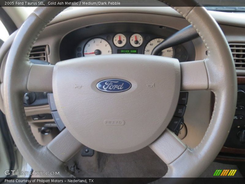 Gold Ash Metallic / Medium/Dark Pebble 2005 Ford Taurus SEL