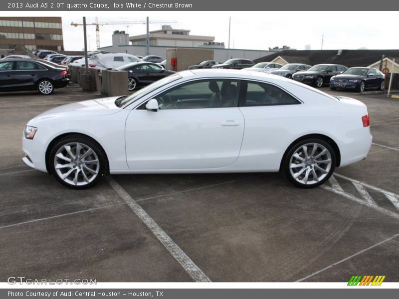 Ibis White / Chestnut Brown 2013 Audi A5 2.0T quattro Coupe