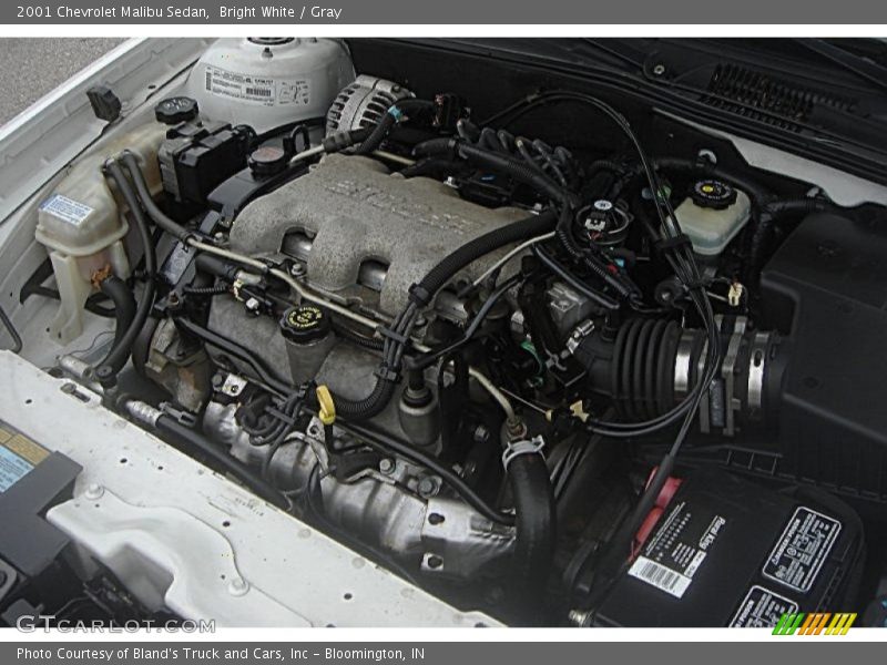 Bright White / Gray 2001 Chevrolet Malibu Sedan
