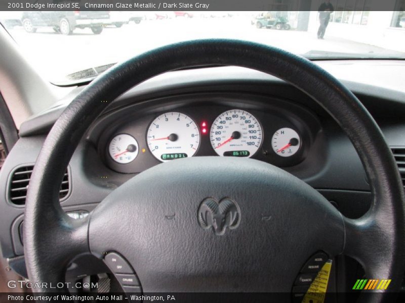 Cinnamon Glaze Metallic / Dark Slate Gray 2001 Dodge Intrepid SE