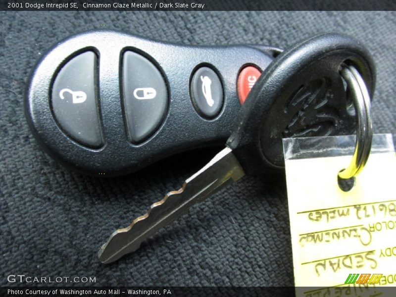 Cinnamon Glaze Metallic / Dark Slate Gray 2001 Dodge Intrepid SE