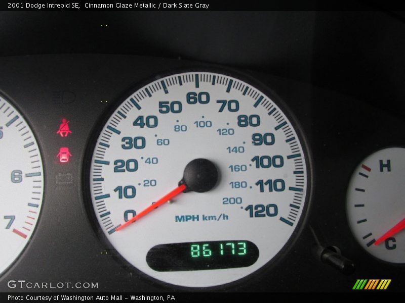 Cinnamon Glaze Metallic / Dark Slate Gray 2001 Dodge Intrepid SE