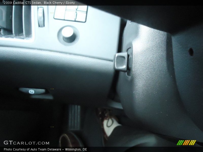 Black Cherry / Ebony 2009 Cadillac CTS Sedan