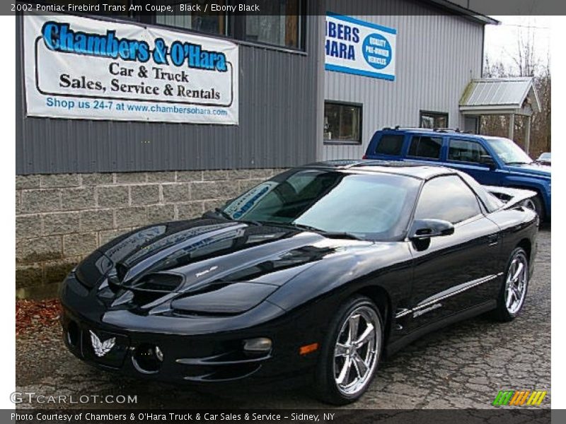 Black / Ebony Black 2002 Pontiac Firebird Trans Am Coupe