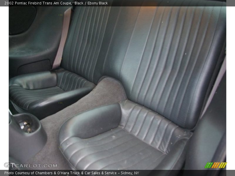 Black / Ebony Black 2002 Pontiac Firebird Trans Am Coupe