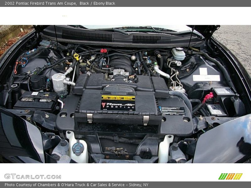 Black / Ebony Black 2002 Pontiac Firebird Trans Am Coupe