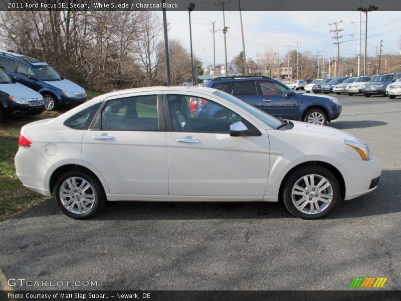 White Suede / Charcoal Black 2011 Ford Focus SEL Sedan