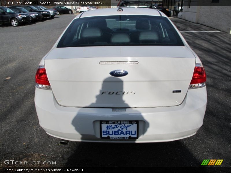 White Suede / Charcoal Black 2011 Ford Focus SEL Sedan