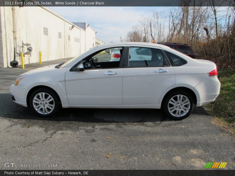 White Suede / Charcoal Black 2011 Ford Focus SEL Sedan