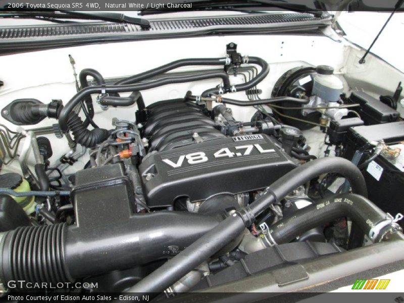 Natural White / Light Charcoal 2006 Toyota Sequoia SR5 4WD