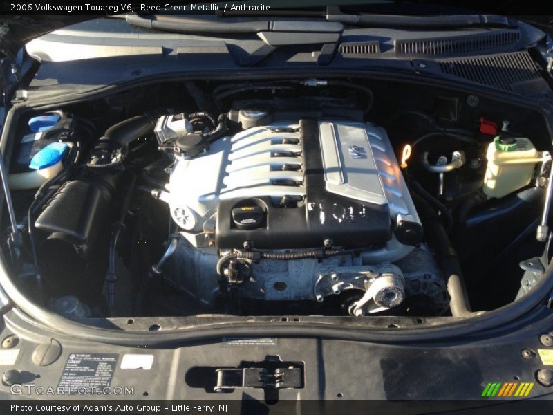Reed Green Metallic / Anthracite 2006 Volkswagen Touareg V6