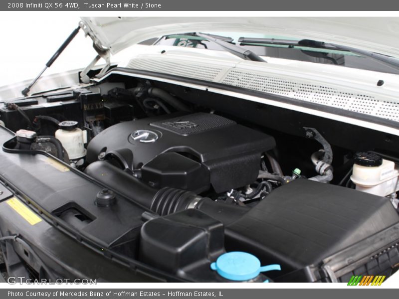 Tuscan Pearl White / Stone 2008 Infiniti QX 56 4WD