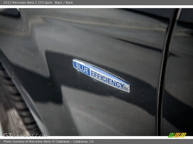 Black / Black 2012 Mercedes-Benz C 250 Sport