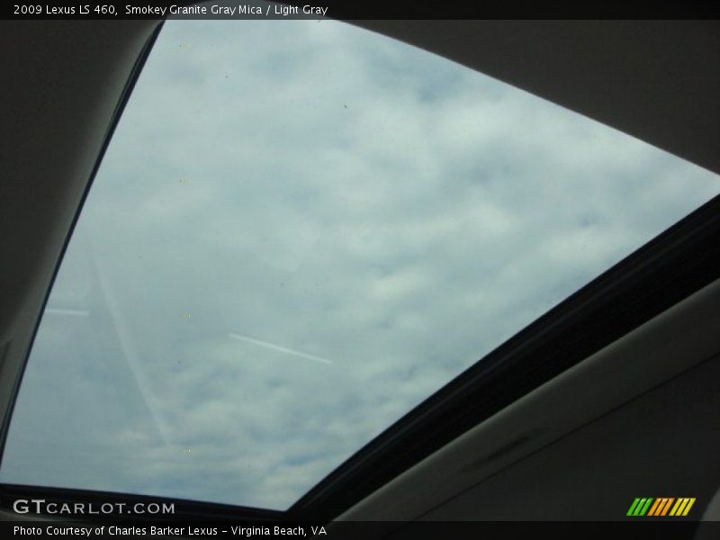 Smokey Granite Gray Mica / Light Gray 2009 Lexus LS 460