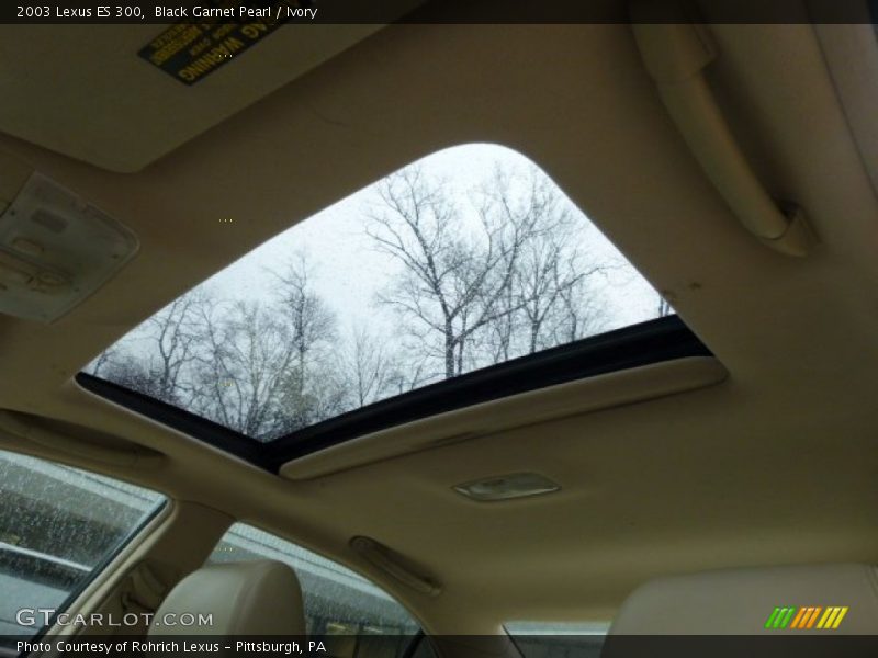 Black Garnet Pearl / Ivory 2003 Lexus ES 300