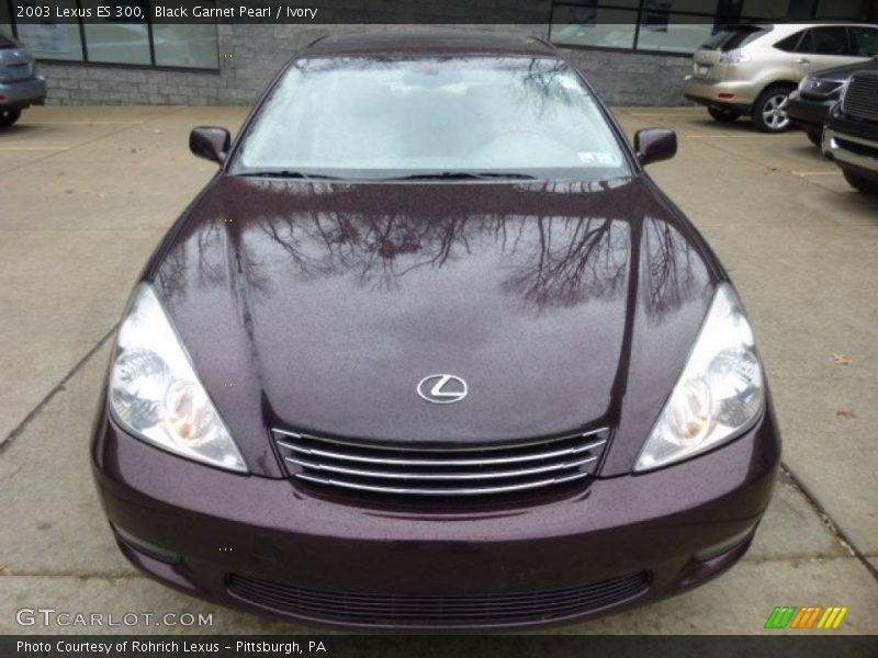 Black Garnet Pearl / Ivory 2003 Lexus ES 300