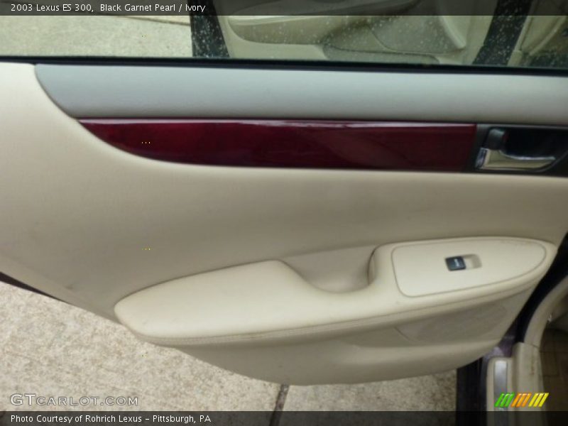 Black Garnet Pearl / Ivory 2003 Lexus ES 300