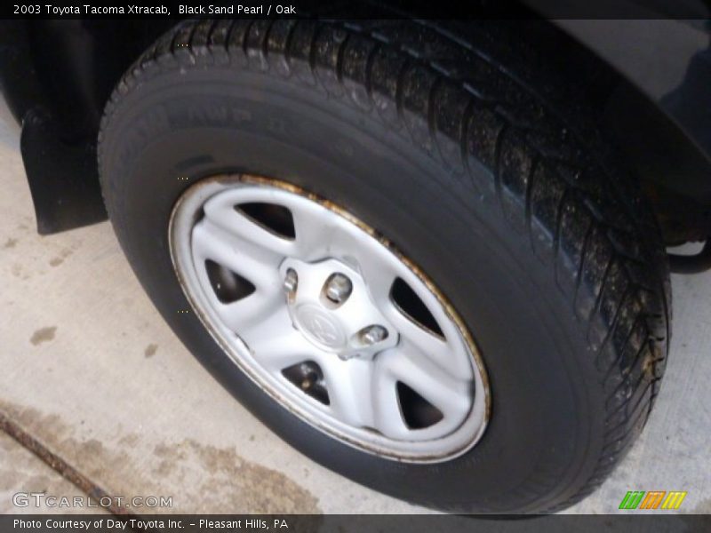 Black Sand Pearl / Oak 2003 Toyota Tacoma Xtracab