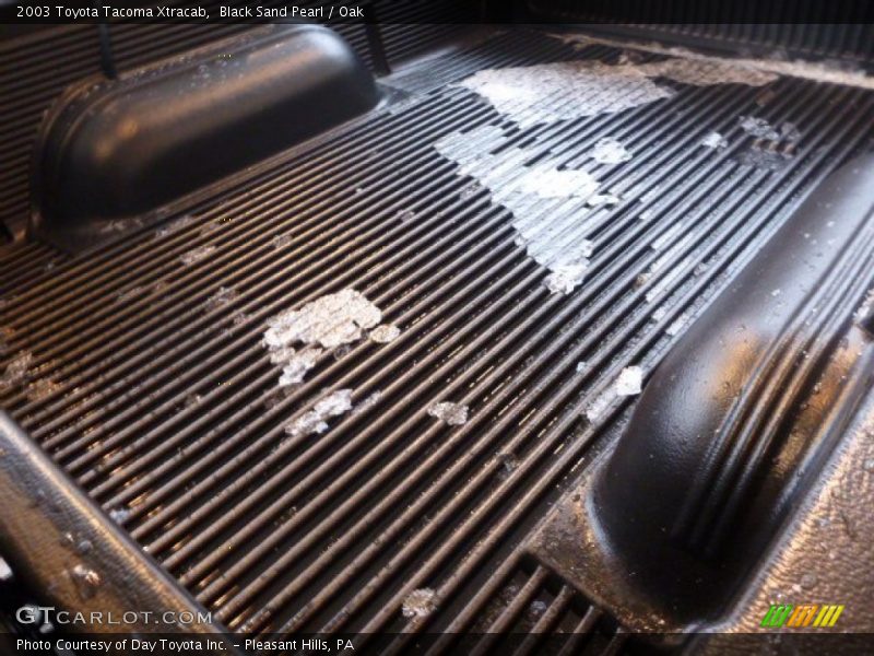 Black Sand Pearl / Oak 2003 Toyota Tacoma Xtracab