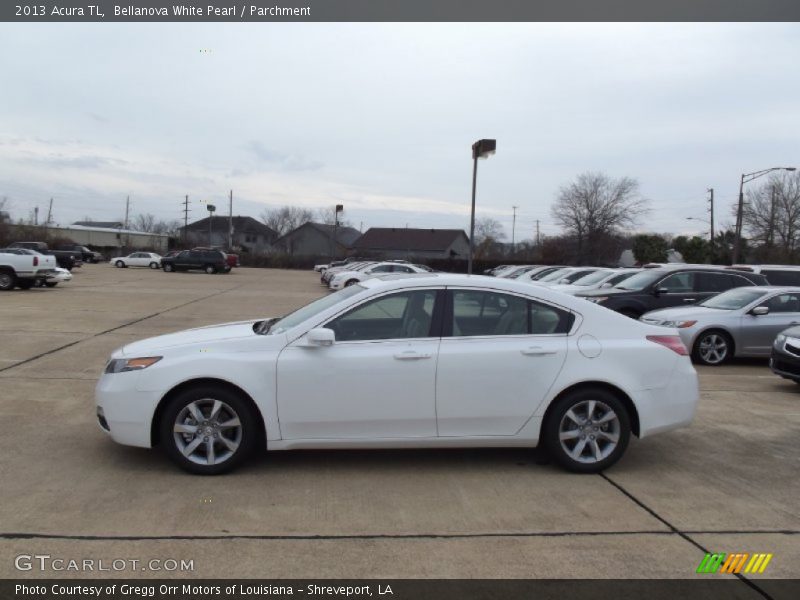 Bellanova White Pearl / Parchment 2013 Acura TL