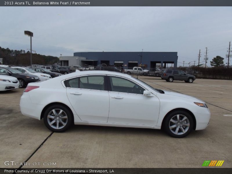 Bellanova White Pearl / Parchment 2013 Acura TL