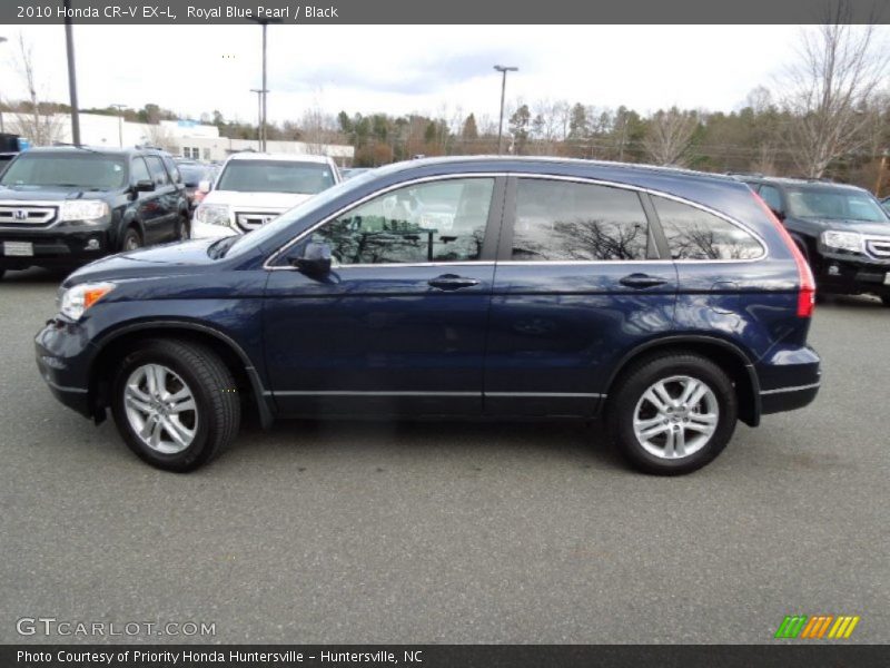 Royal Blue Pearl / Black 2010 Honda CR-V EX-L