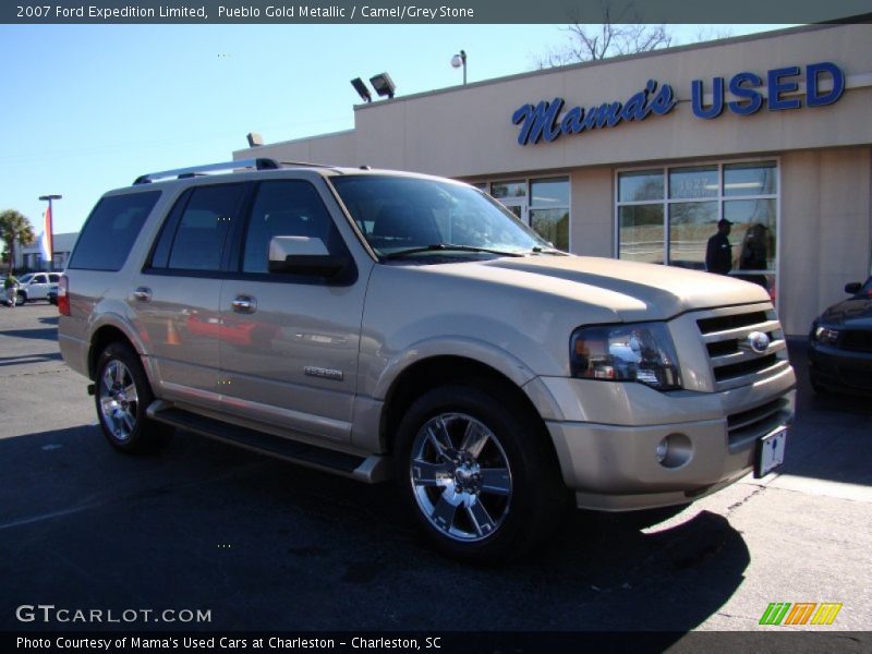 Pueblo Gold Metallic / Camel/Grey Stone 2007 Ford Expedition Limited