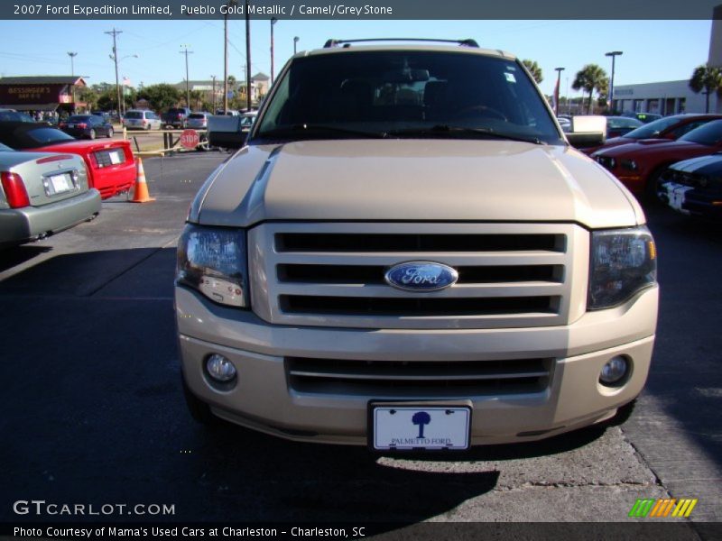 Pueblo Gold Metallic / Camel/Grey Stone 2007 Ford Expedition Limited