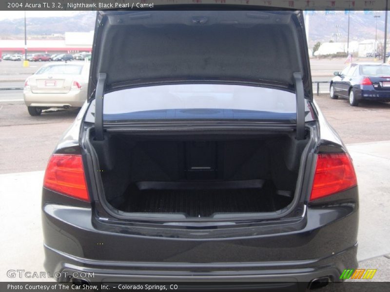 Nighthawk Black Pearl / Camel 2004 Acura TL 3.2