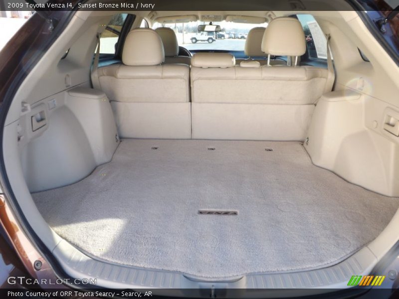 Sunset Bronze Mica / Ivory 2009 Toyota Venza I4