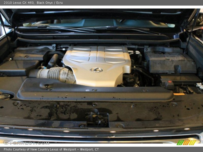 Black Onyx / Ecru 2010 Lexus GX 460