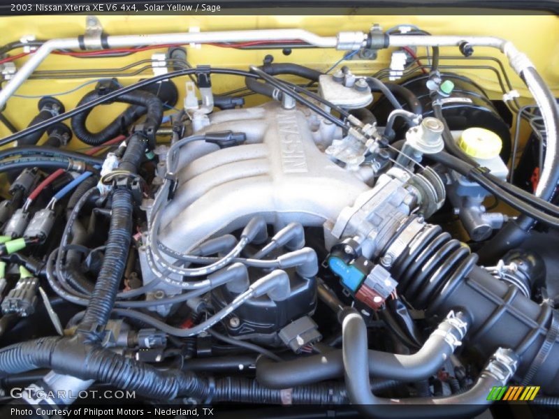 Solar Yellow / Sage 2003 Nissan Xterra XE V6 4x4