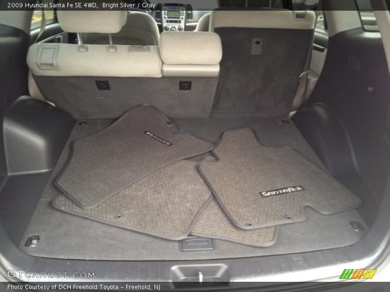 Bright Silver / Gray 2009 Hyundai Santa Fe SE 4WD