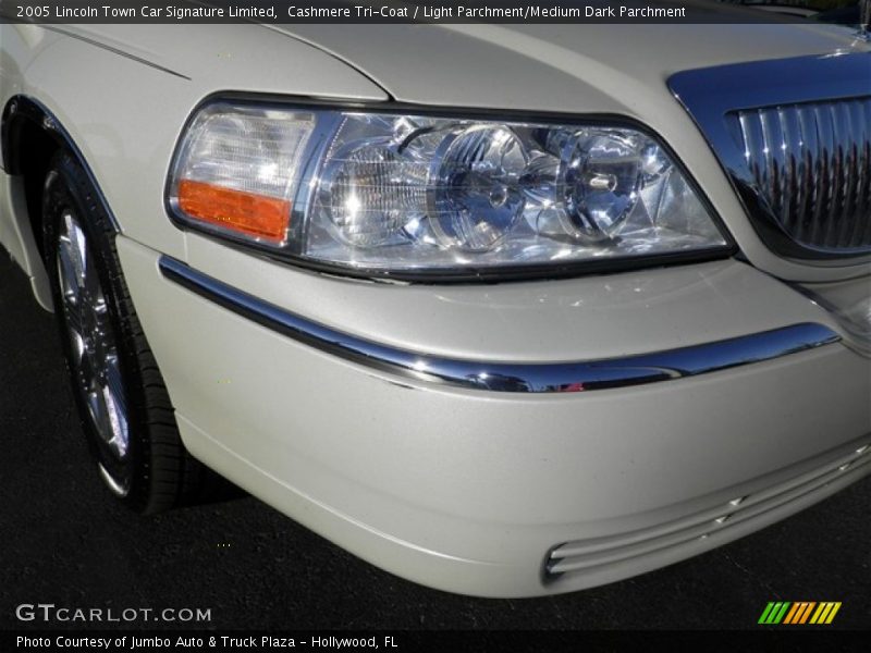 Cashmere Tri-Coat / Light Parchment/Medium Dark Parchment 2005 Lincoln Town Car Signature Limited