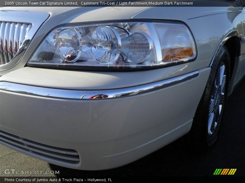 Cashmere Tri-Coat / Light Parchment/Medium Dark Parchment 2005 Lincoln Town Car Signature Limited