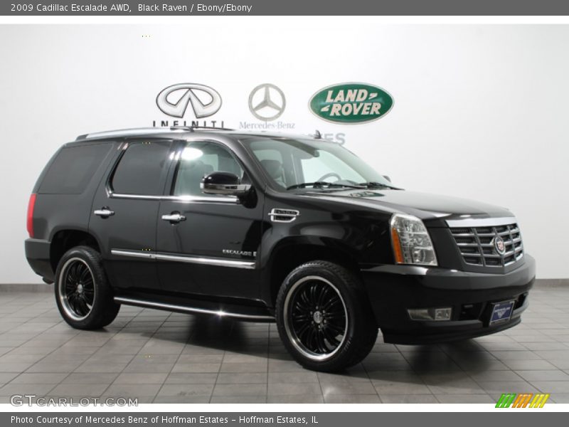 Black Raven / Ebony/Ebony 2009 Cadillac Escalade AWD