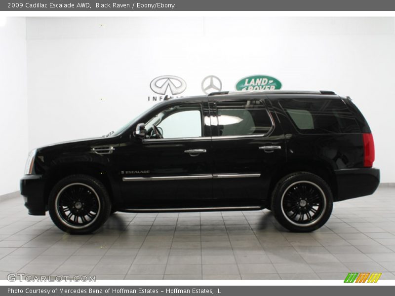Black Raven / Ebony/Ebony 2009 Cadillac Escalade AWD