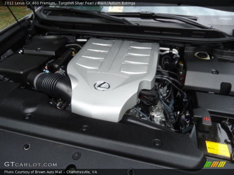 Tungsten Silver Pearl / Black/Auburn Bubinga 2012 Lexus GX 460 Premium