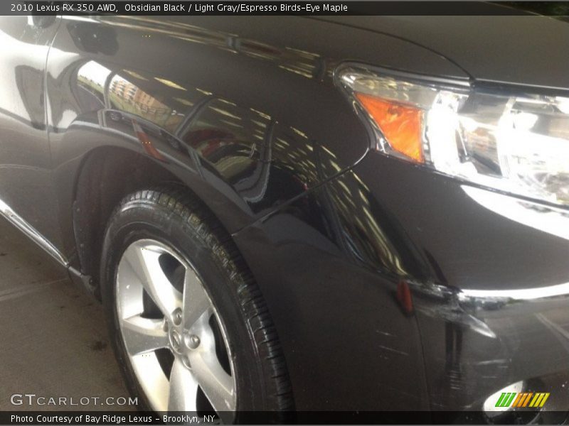 Obsidian Black / Light Gray/Espresso Birds-Eye Maple 2010 Lexus RX 350 AWD