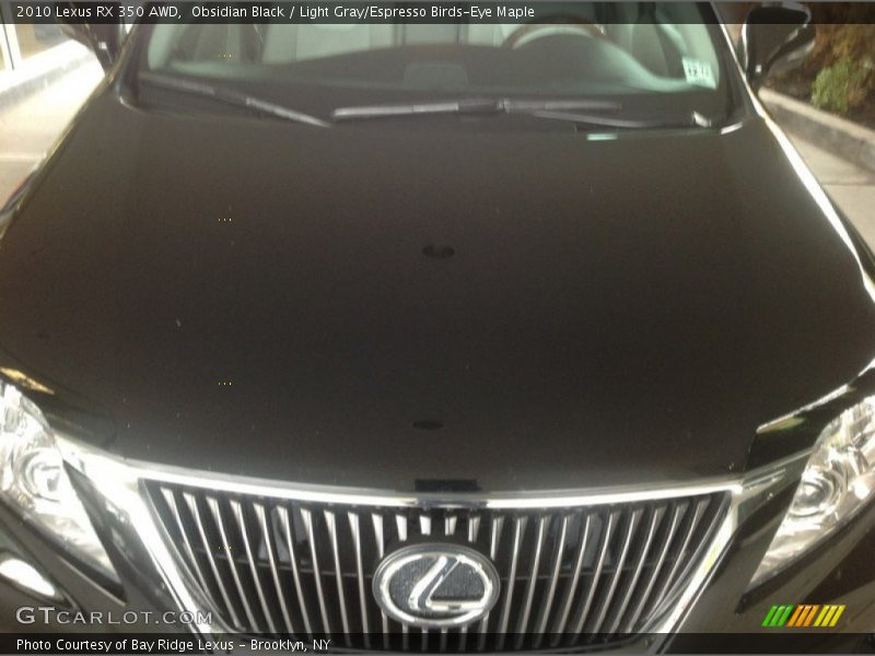 Obsidian Black / Light Gray/Espresso Birds-Eye Maple 2010 Lexus RX 350 AWD