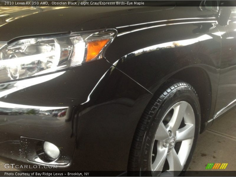 Obsidian Black / Light Gray/Espresso Birds-Eye Maple 2010 Lexus RX 350 AWD