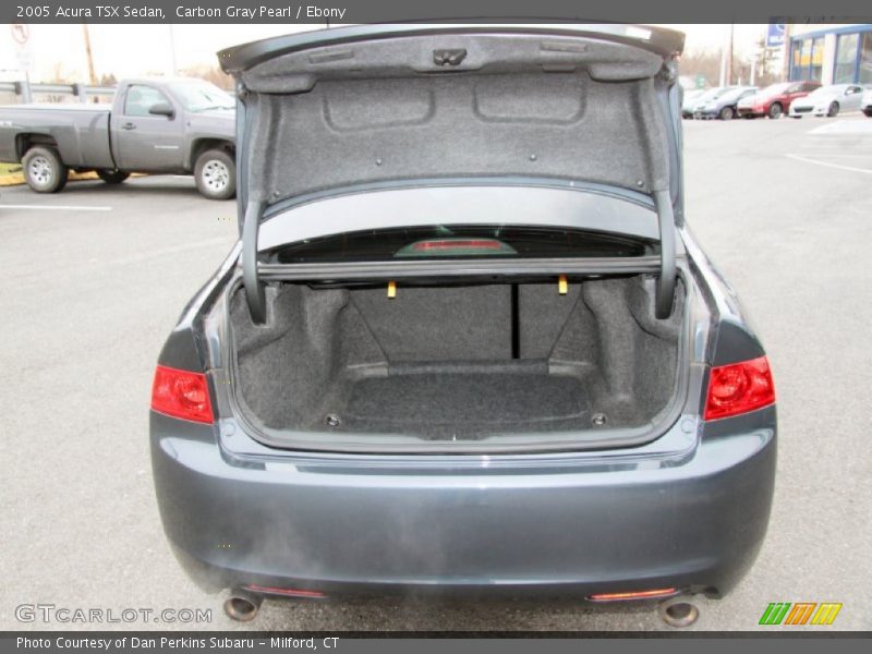 Carbon Gray Pearl / Ebony 2005 Acura TSX Sedan