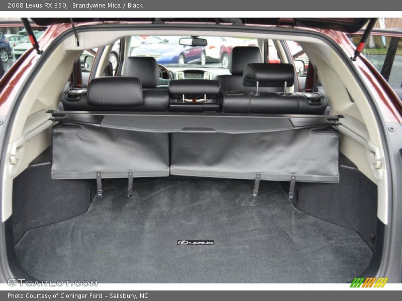 Brandywine Mica / Black 2008 Lexus RX 350