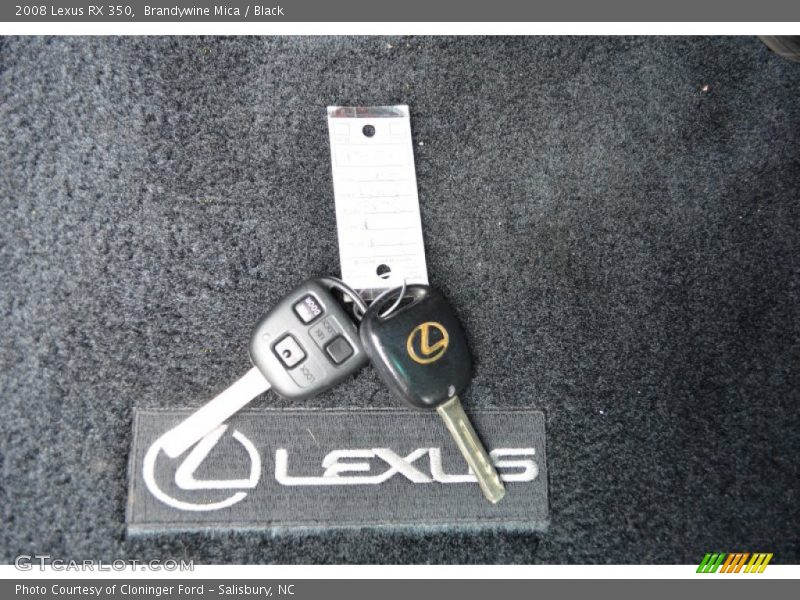 Brandywine Mica / Black 2008 Lexus RX 350