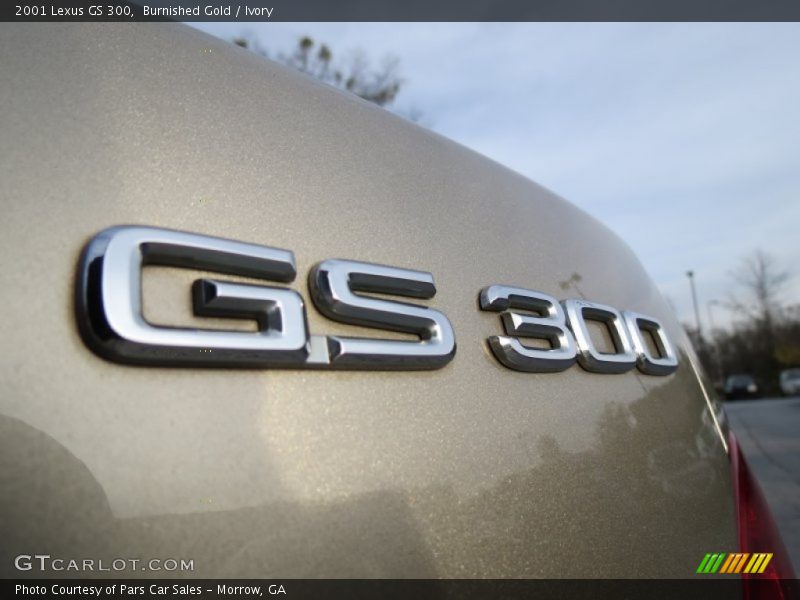  2001 GS 300 Logo