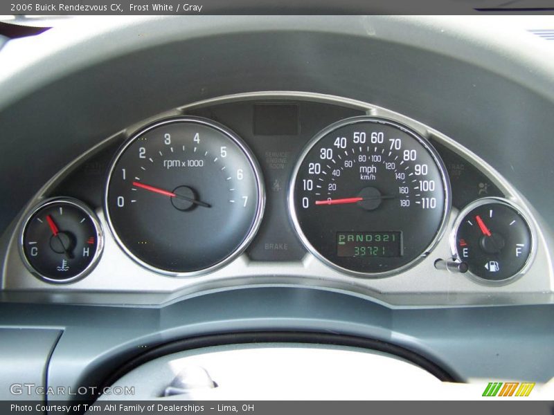 Frost White / Gray 2006 Buick Rendezvous CX